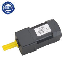 3W 110V 220V Low Rpm AC Geared Motor